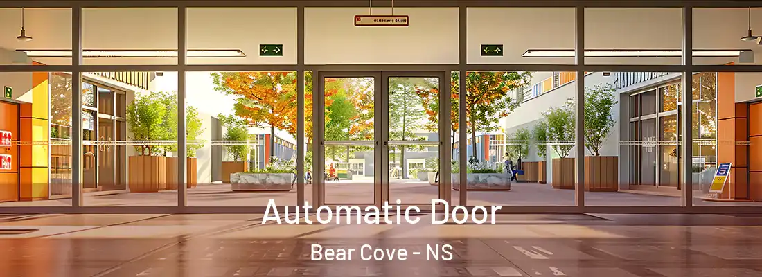 Automatic Door Bear Cove - NS