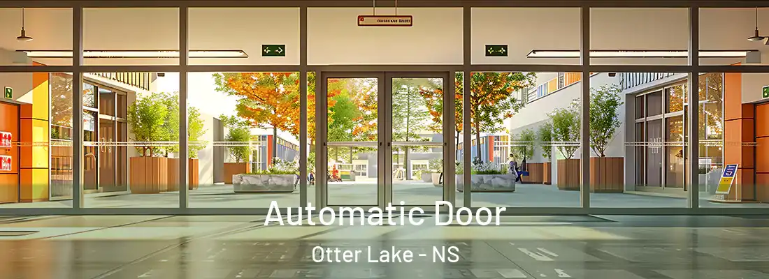Automatic Door Otter Lake - NS