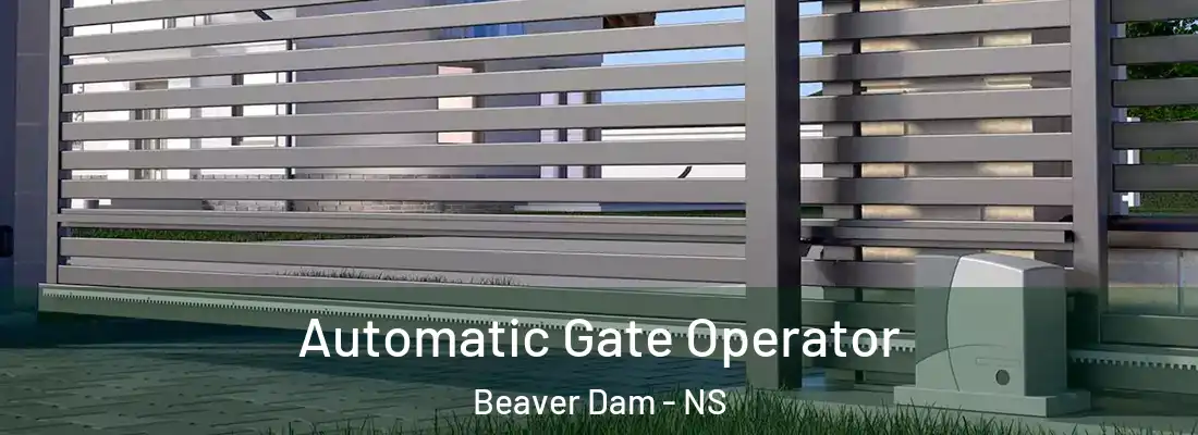  Automatic Gate Operator Beaver Dam - NS