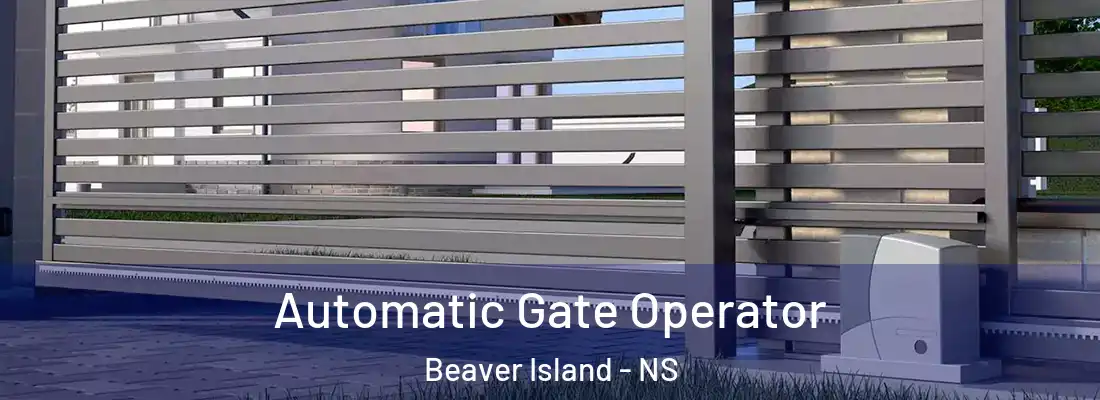 Automatic Gate Operator Beaver Island - NS
