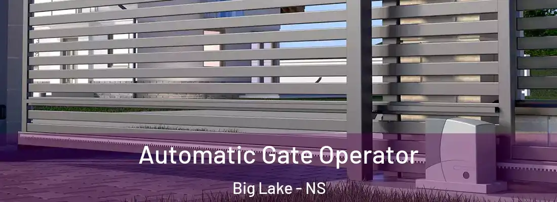 Automatic Gate Operator Big Lake - NS