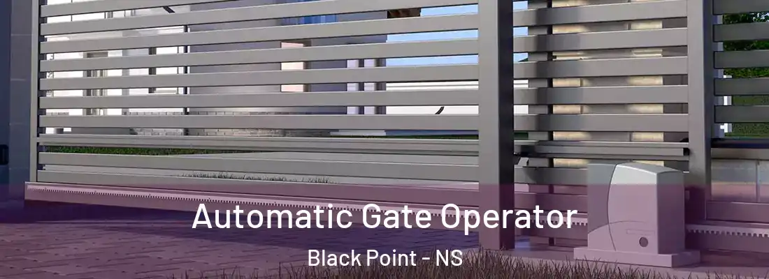 Automatic Gate Operator Black Point - NS