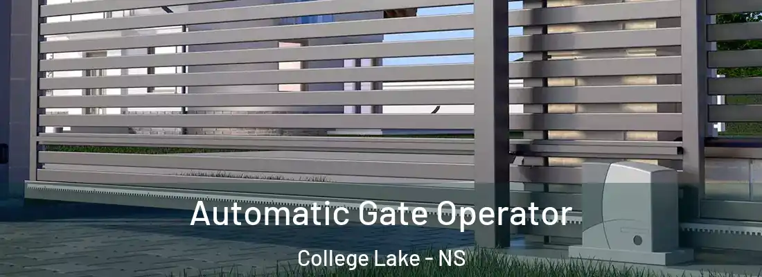 Automatic Gate Operator College Lake - NS