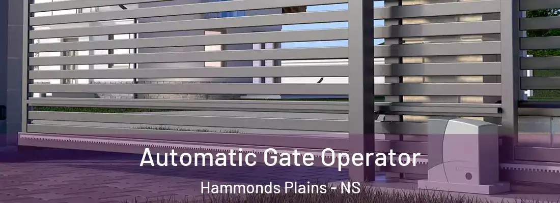 Automatic Gate Operator Hammonds Plains - NS