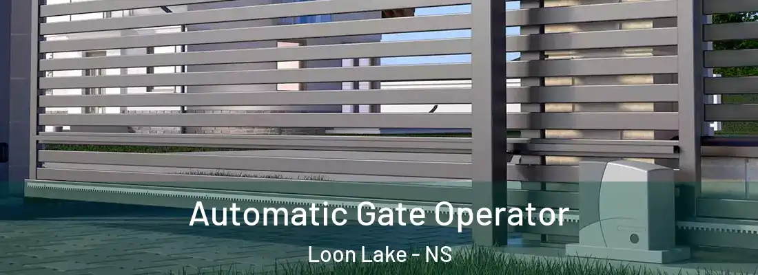 Automatic Gate Operator Loon Lake - NS