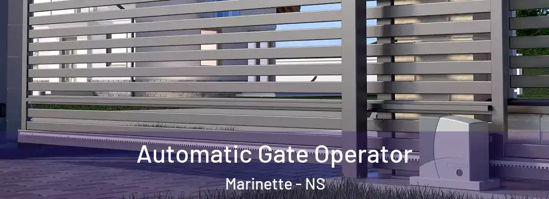 Automatic Gate Operator Marinette - NS