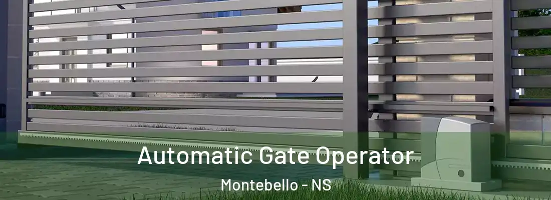 Automatic Gate Operator Montebello - NS