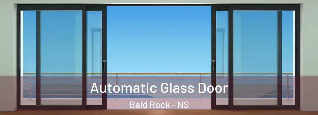 Automatic Glass Door Bald Rock - NS