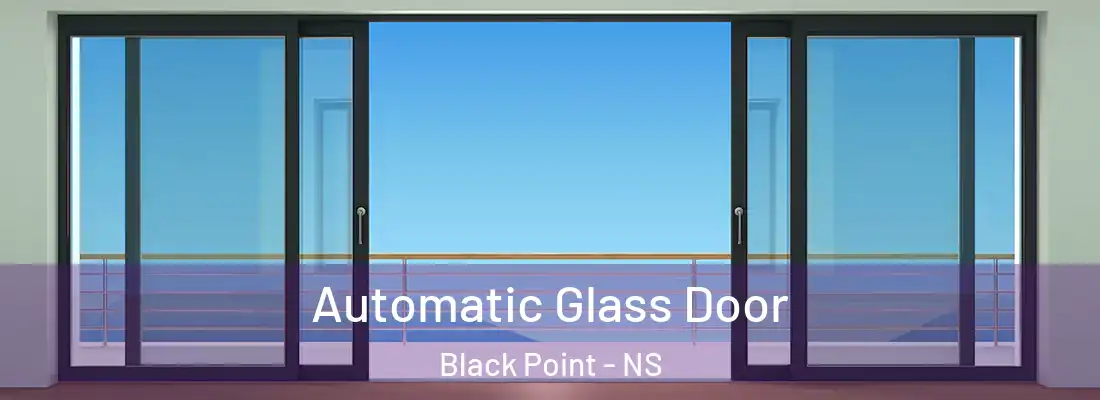 Automatic Glass Door Black Point - NS