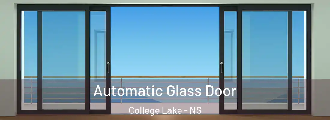 Automatic Glass Door College Lake - NS