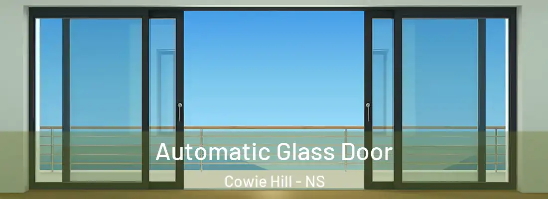 Automatic Glass Door Cowie Hill - NS