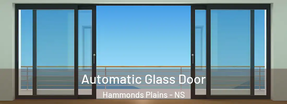 Automatic Glass Door Hammonds Plains - NS