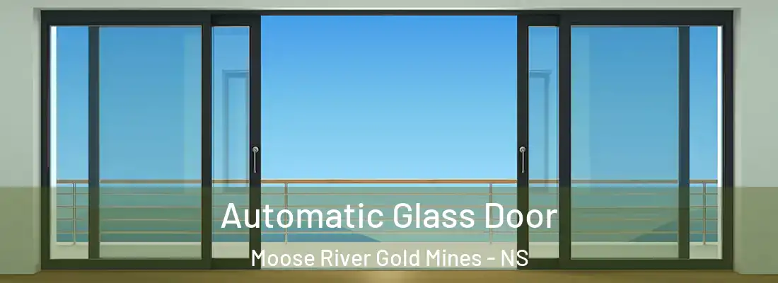  Automatic Glass Door Moose River Gold Mines - NS