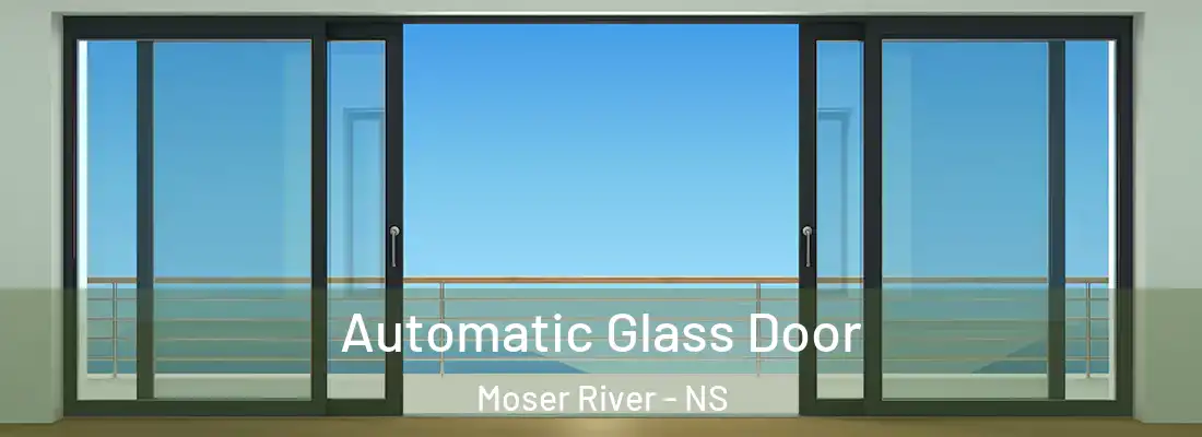 Automatic Glass Door Moser River - NS