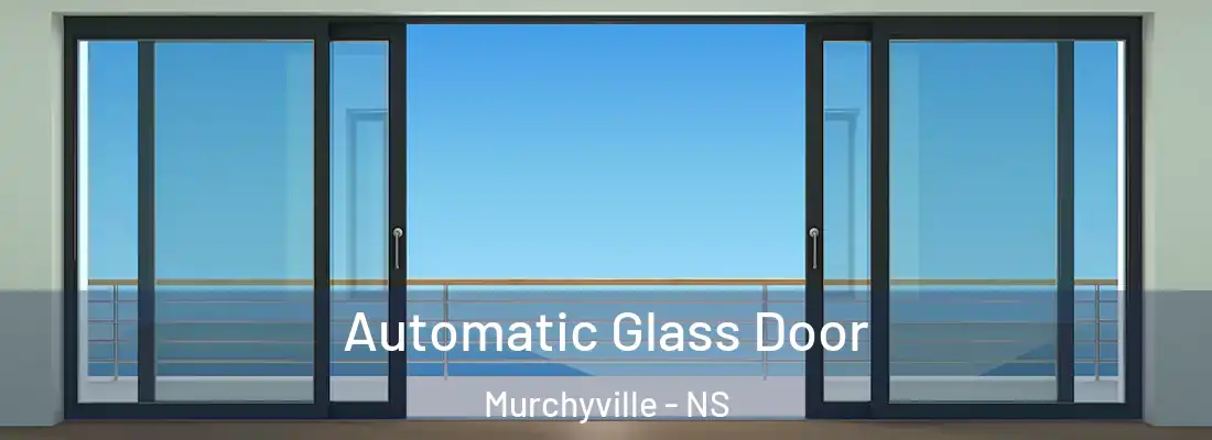 Automatic Glass Door Murchyville - NS