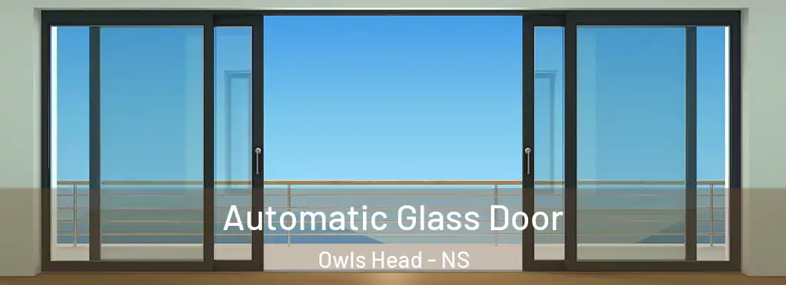  Automatic Glass Door Owls Head - NS