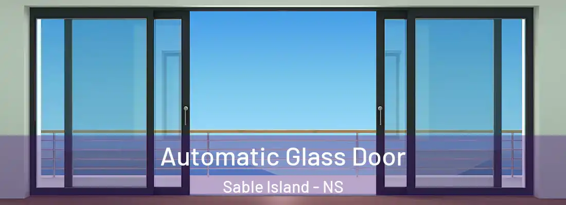  Automatic Glass Door Sable Island - NS