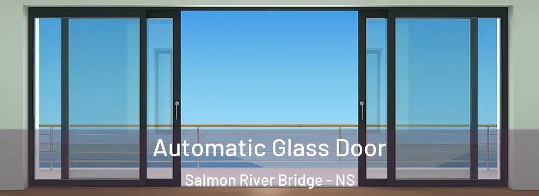  Automatic Glass Door Salmon River Bridge - NS