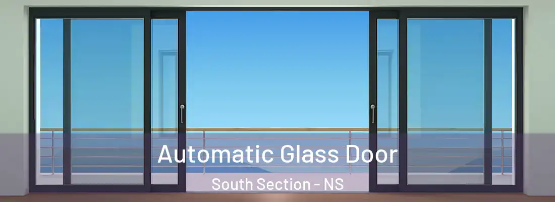 Automatic Glass Door South Section - NS