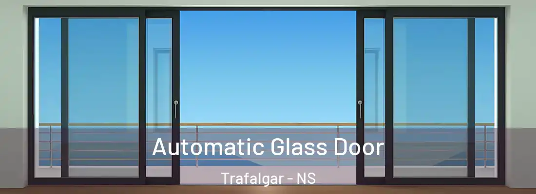 Automatic Glass Door Trafalgar - NS