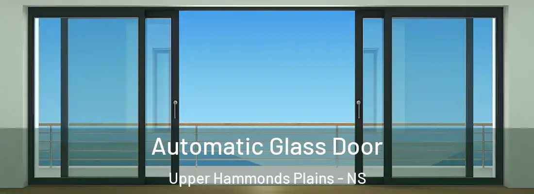 Automatic Glass Door Upper Hammonds Plains - NS