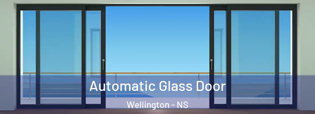  Automatic Glass Door Wellington - NS