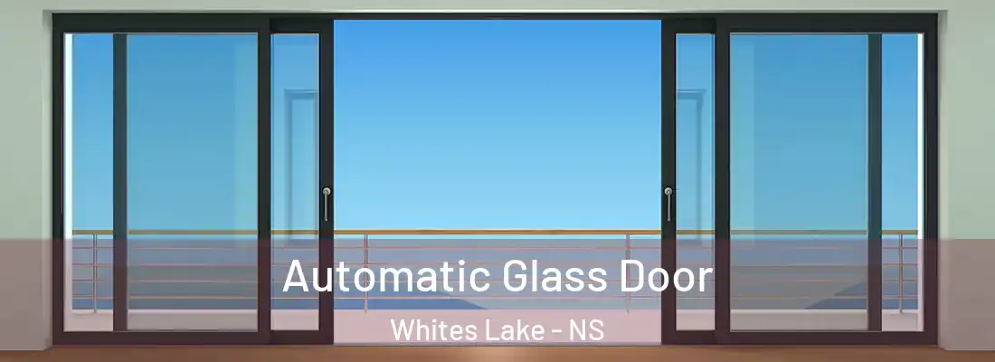  Automatic Glass Door Whites Lake - NS