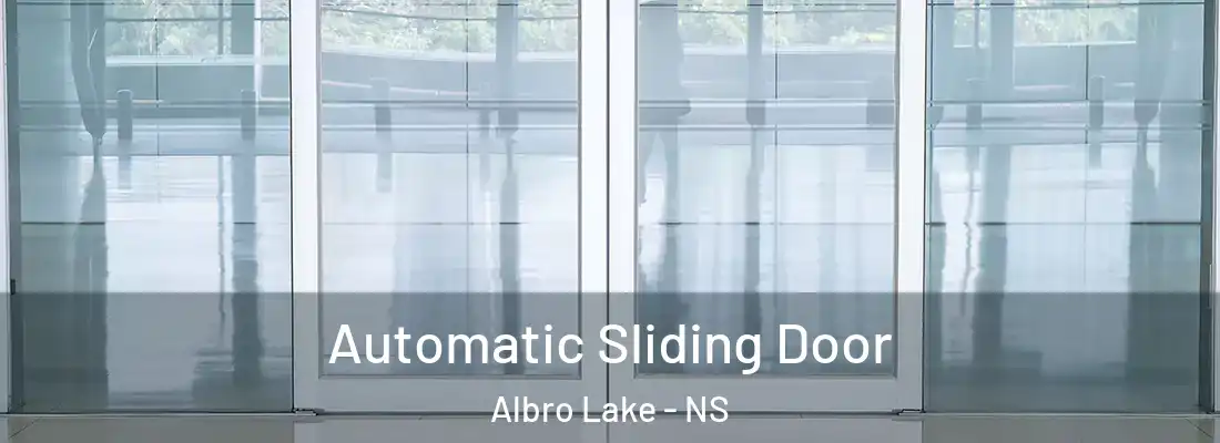 Automatic Sliding Door Albro Lake - NS