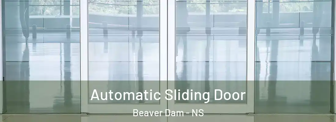 Automatic Sliding Door Beaver Dam - NS