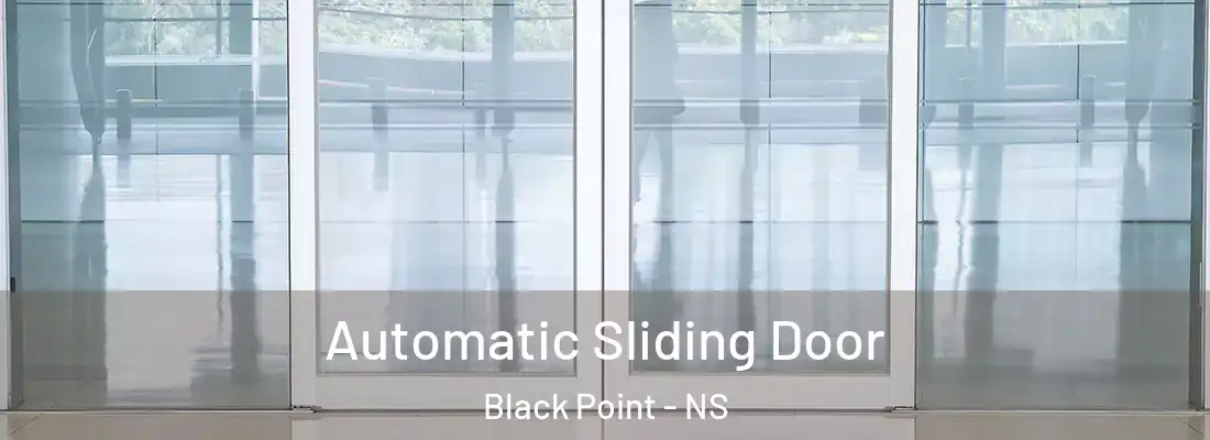 Automatic Sliding Door Black Point - NS