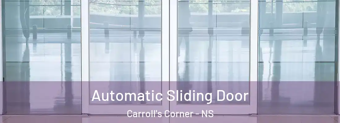 Automatic Sliding Door Carroll's Corner - NS