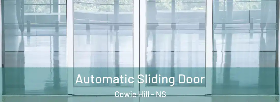 Automatic Sliding Door Cowie Hill - NS