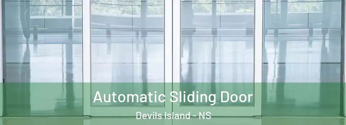  Automatic Sliding Door Devils Island - NS