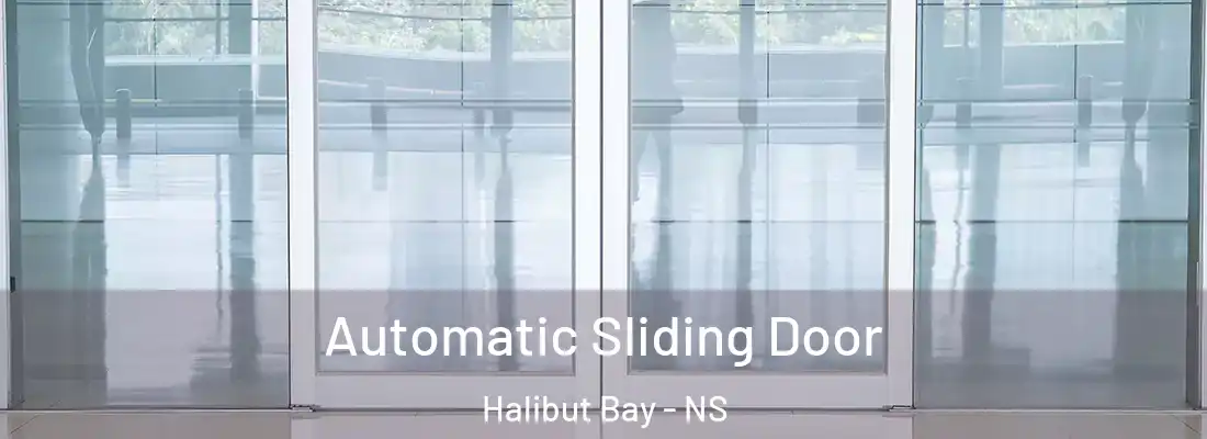  Automatic Sliding Door Halibut Bay - NS