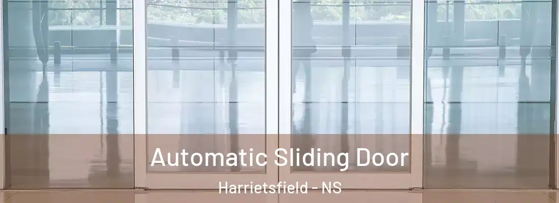 Automatic Sliding Door Harrietsfield - NS
