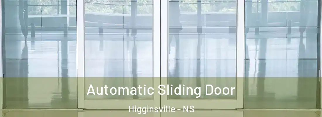 Automatic Sliding Door Higginsville - NS