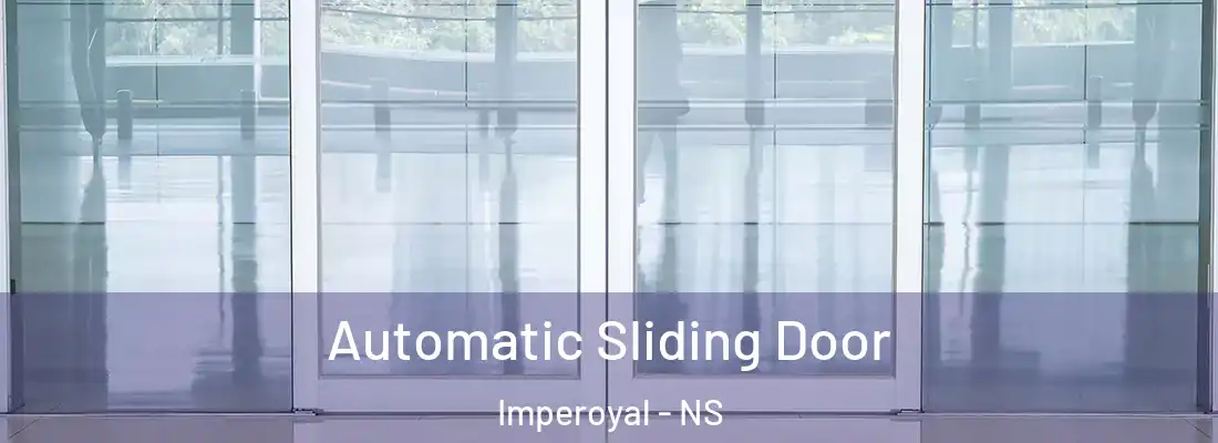  Automatic Sliding Door Imperoyal - NS