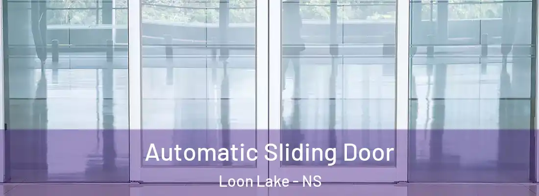 Automatic Sliding Door Loon Lake - NS