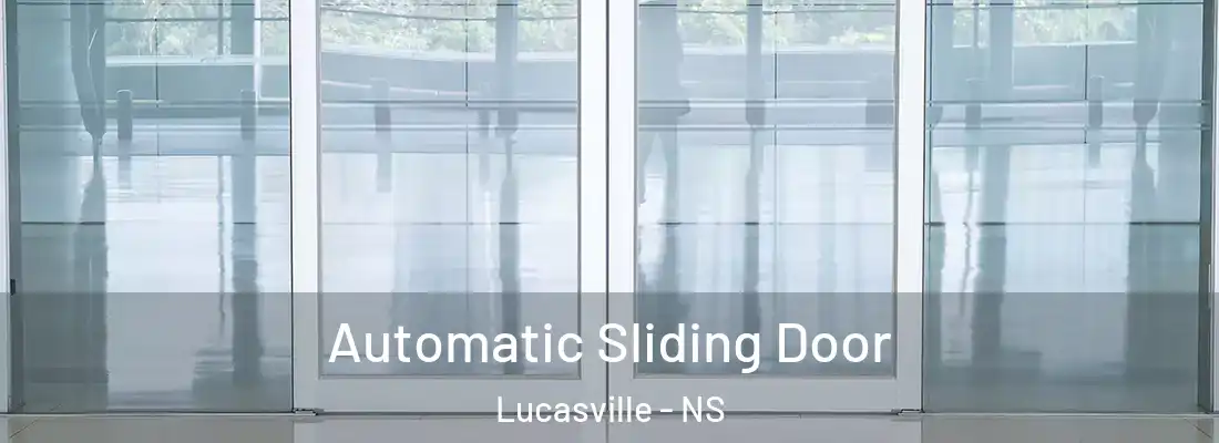 Automatic Sliding Door Lucasville - NS
