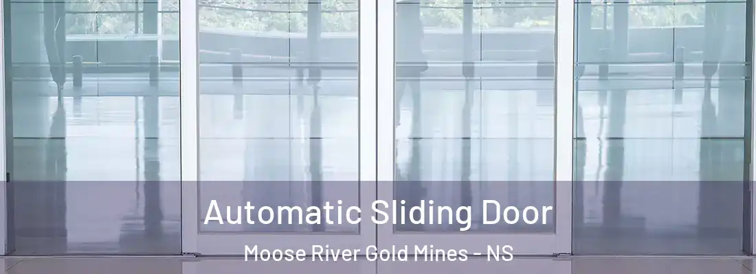  Automatic Sliding Door Moose River Gold Mines - NS