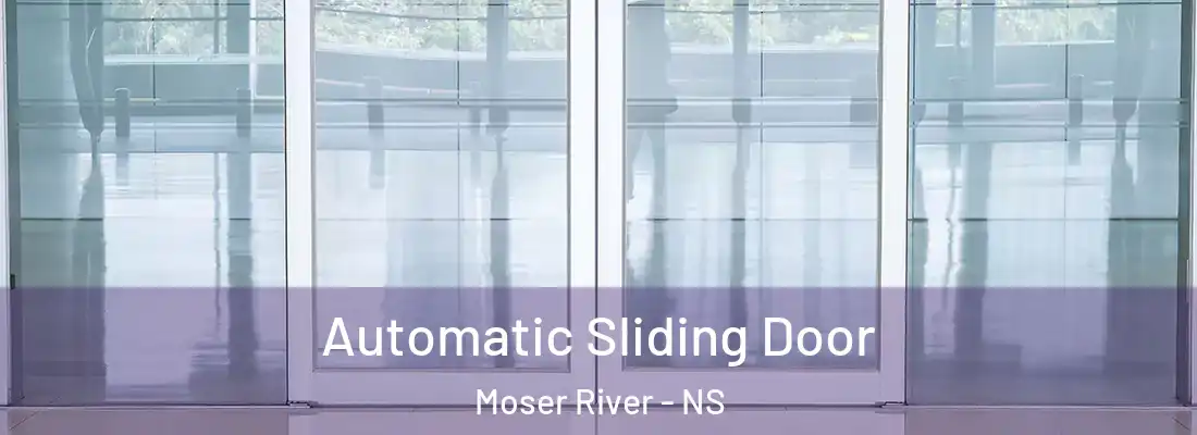  Automatic Sliding Door Moser River - NS