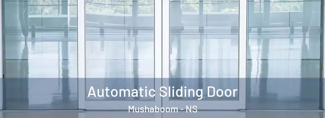 Automatic Sliding Door Mushaboom - NS