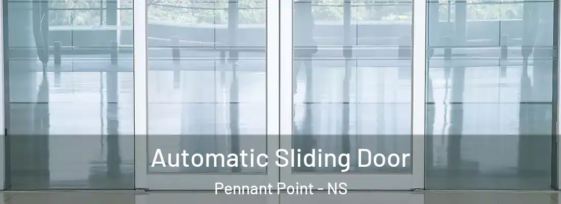 Automatic Sliding Door Pennant Point - NS