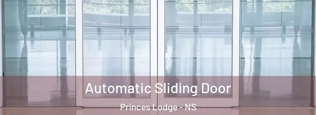 Automatic Sliding Door Princes Lodge - NS
