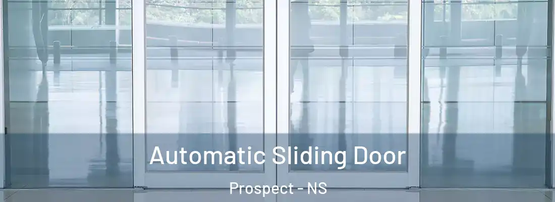  Automatic Sliding Door Prospect - NS
