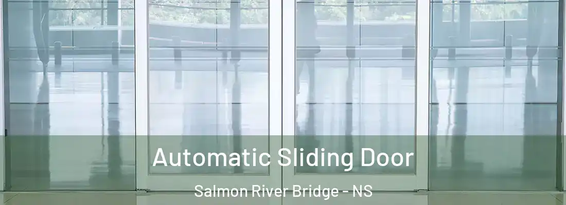 Automatic Sliding Door Salmon River Bridge - NS