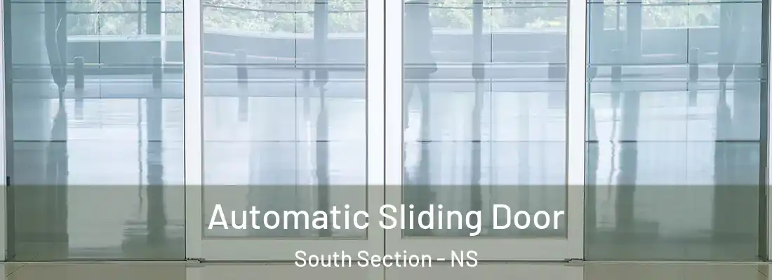 Automatic Sliding Door South Section - NS