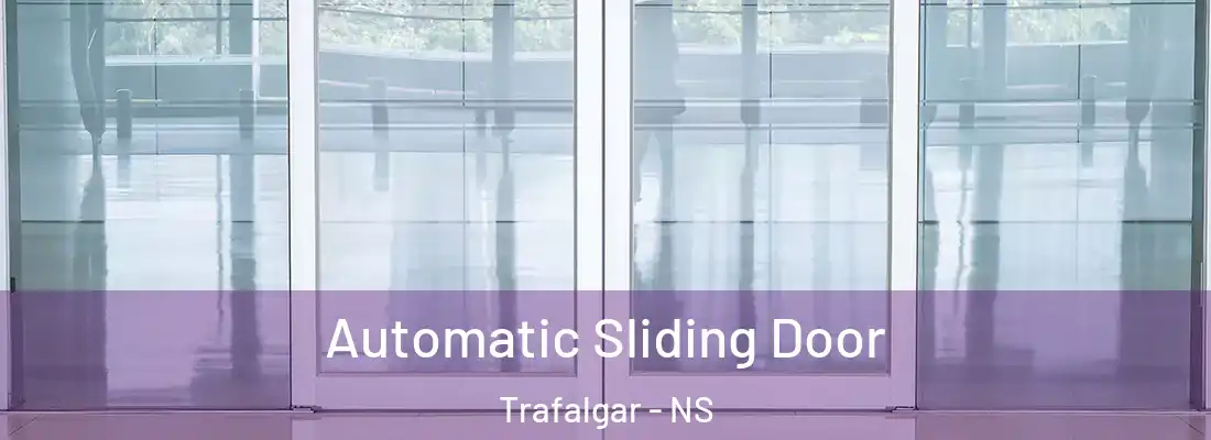 Automatic Sliding Door Trafalgar - NS