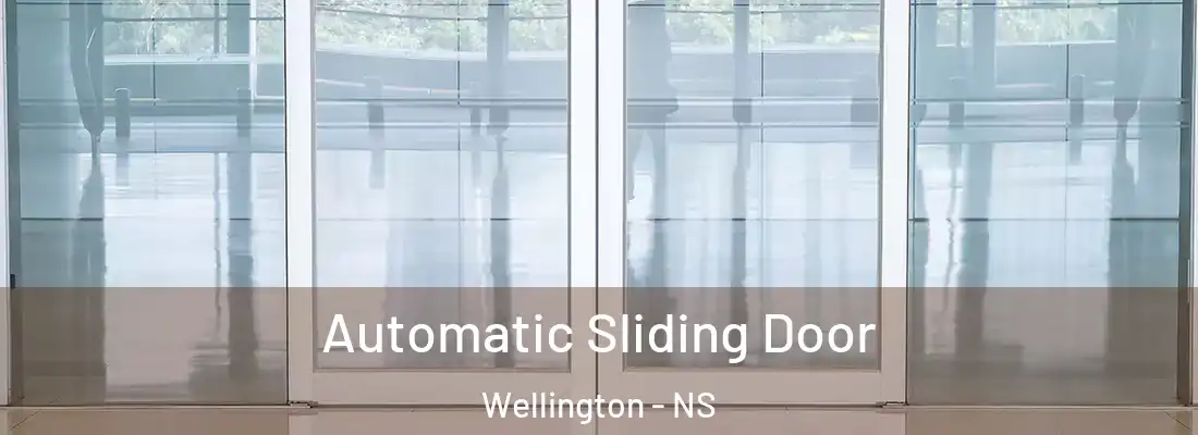 Automatic Sliding Door Wellington - NS