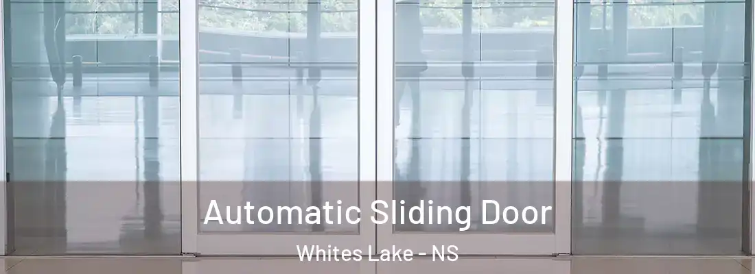 Automatic Sliding Door Whites Lake - NS